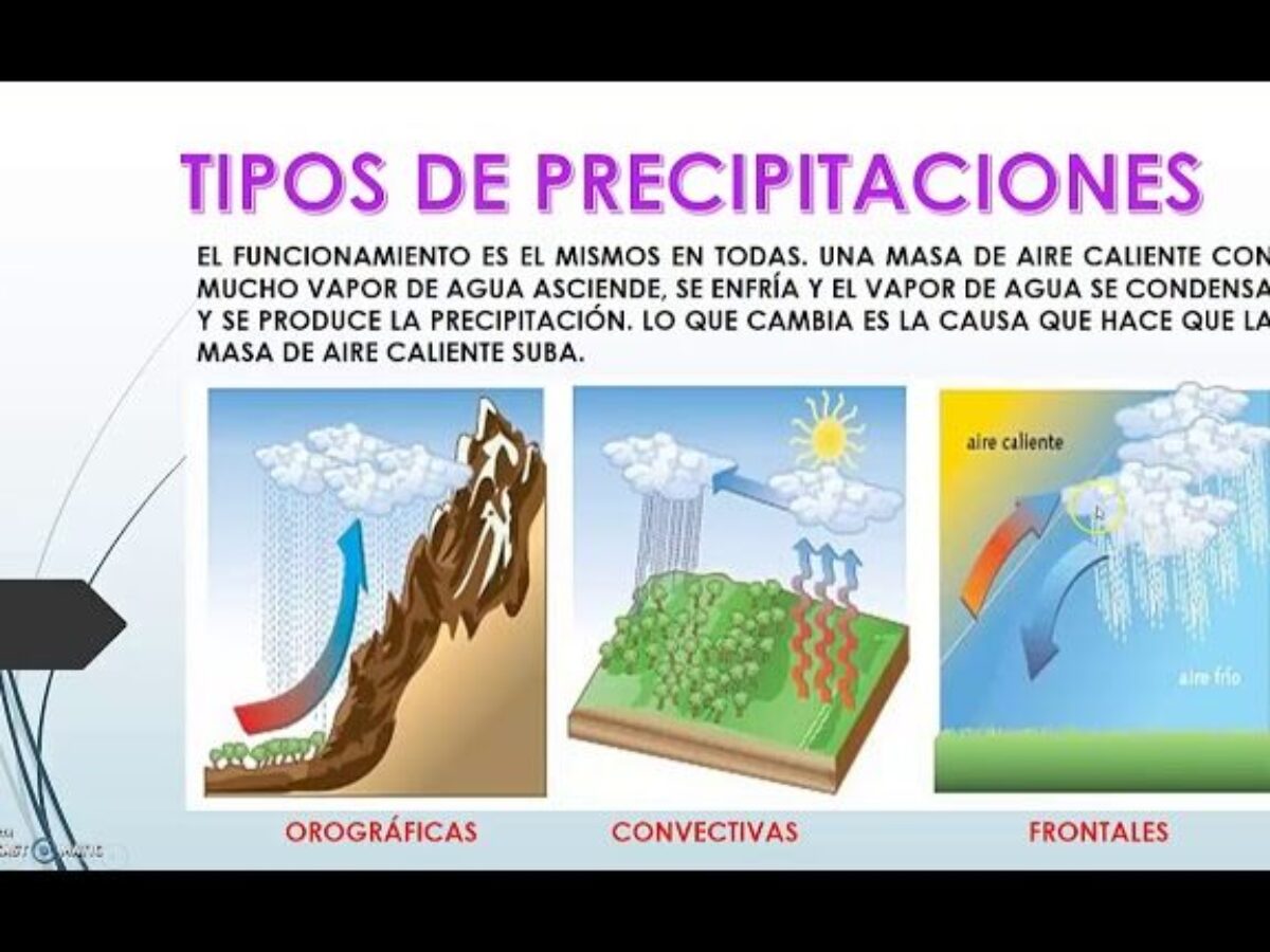 Ejemplos De Precipitados